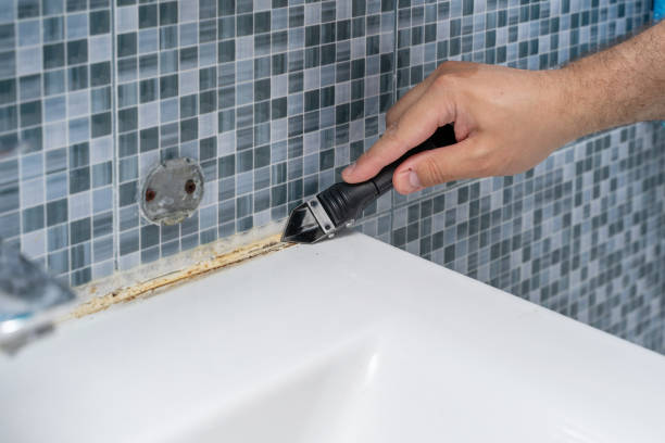 Best Fast Mold Removal  in Vidalia, GA